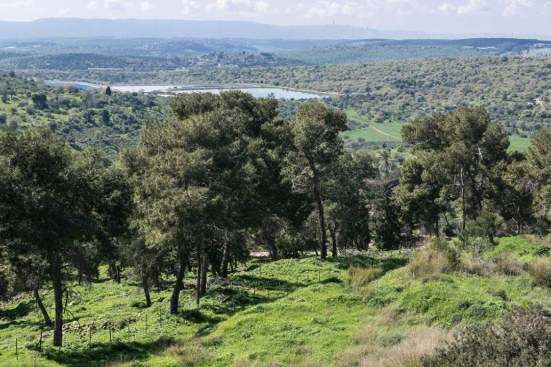 Im Hintergrund der See Genezareth